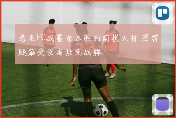 悉尼FC战墨尔本胜利前损大将 图雷腿筋受伤高挂免战牌